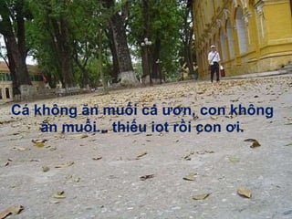 Cá không ăn muối cá ươn, con không
ăn muối... thiếu iot rồi con ơi.
 