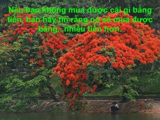 Nếu bạn không mua được cái gì bằng
tiền, bạn hãy tin rằng nó sẽ mua được
bằng...nhiều tiền hơn.
 
