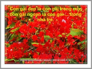 Con gái đẹp là con gái trong mơ,
con gái ngoan là con gái ... trong
nhà trẻ.
 