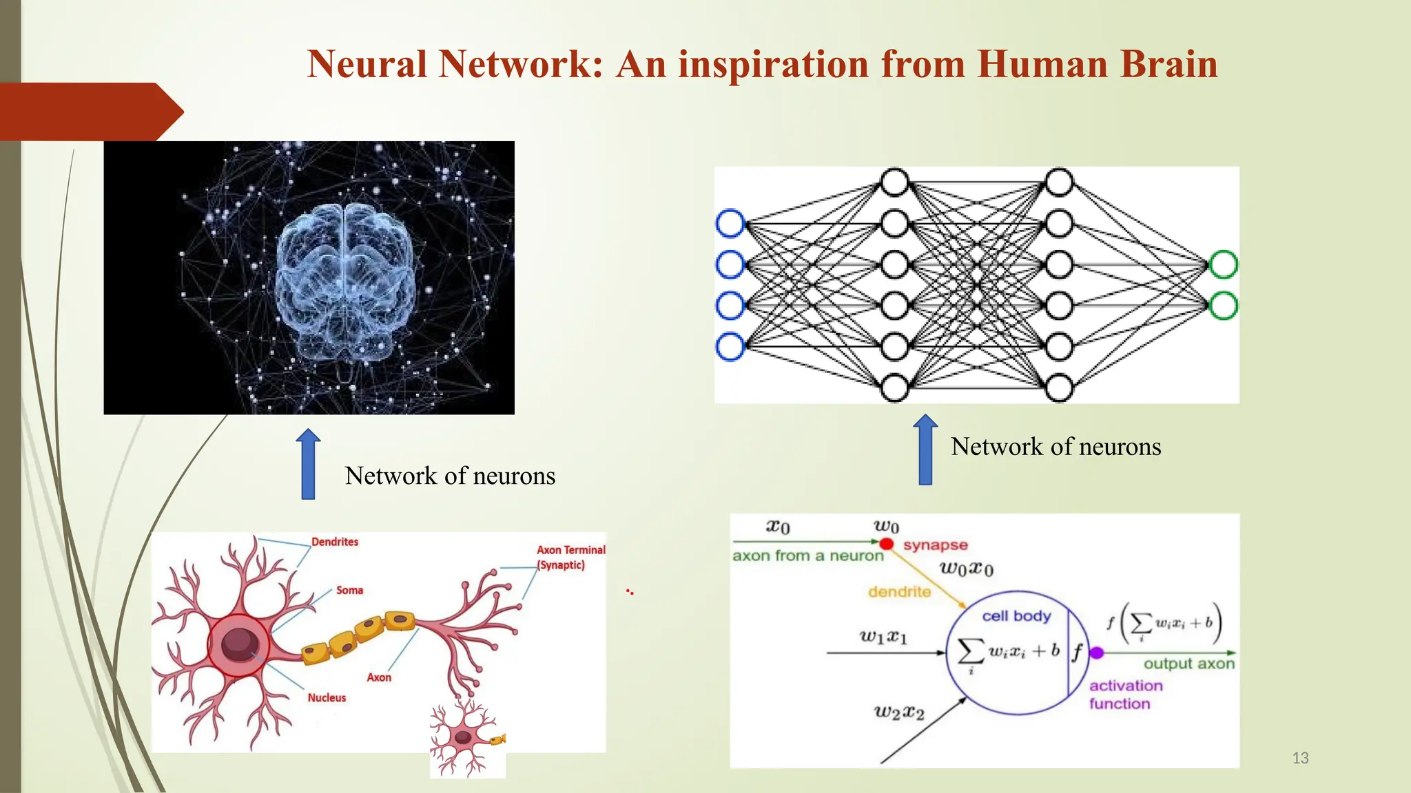 Network of neurons
13
Network of neurons
Neural Network: An inspiration from Human Brain
 