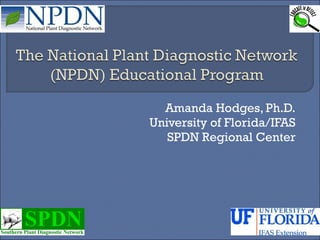 Amanda Hodges, Ph.D. University of Florida/IFAS SPDN Regional Center 