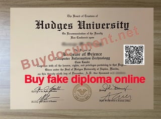 Hodges University diploma