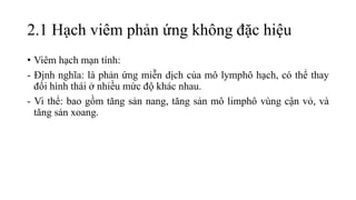 2.1 Hạch viêm phản ứng không đặc hiệu
• Viêm hạch mạn tính:
- Định nghĩa: là phản ứng miễn dịch của mô lymphô hạch, có thể thay
đổi hình thái ở nhiều mức độ khác nhau.
- Vi thể: bao gồm tăng sản nang, tăng sản mô limphô vùng cận vỏ, và
tăng sản xoang.
 