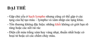 ĐẠI THỂ
- Gặp chủ yếu ở hạch lympho nhưng cũng có thể gặp ở các
tạng của hệ tạo máu – lympho và xâm nhập các tạng khác.
- Tổn thương không đặc hiệu: những khối không có giới hạn rõ
ràng hoặc các nốt rải rác
- Diện cắt màu trắng xám hay vàng nhạt, thuần nhất hoặc có
hoại tử hoặc có các chấm chảy máu.
 