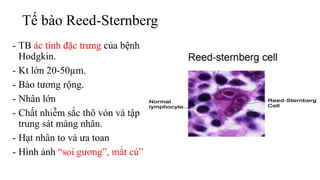 Tế bào Reed-Sternberg
- TB ác tính đặc trưng của bệnh
Hodgkin.
- Kt lớn 20-50µm.
- Bào tương rộng.
- Nhân lớn
- Chất nhiễm sắc thô vón và tập
trung sát màng nhân.
- Hạt nhân to và ưa toan
- Hình ảnh “soi gương”, mắt cú”
 
