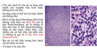 - Cấu trúc hạch bị xóa do sự tăng sinh
mạnh của lympho bào kèm hoặc
không kèm mô bào.
- Sự tăng sinh có thể lan tỏa hoặc thành
nốt không đều.
- Rất ít tế bào Reed-Sternberg điển hình
nhưng xuất hiện các biến thể của tế
bào Reed-Sternberg, đó là những tế
bào nhỏ hơn tế bào Reed-Sternberg,
nhân có nếp cuộn, nhiều thùy, chất
nhiễm sắc có hốc nhỏ, hạt nhân nhỏ
và không rõ gọi là tế bào bắp rang
(popcorn cell).
- Rải rác có thể thấy tương bào, bạch
cầu đa nhân ưa toan.
- Vỏ hạch ít bị xâm lấn.
 
