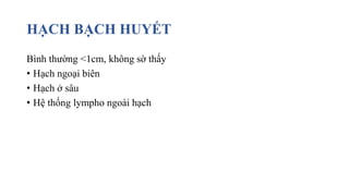 HẠCH BẠCH HUYẾT
Bình thường <1cm, không sờ thấy
• Hạch ngoại biên
• Hạch ở sâu
• Hệ thống lympho ngoài hạch
 