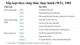 Xếp loại theo công thức thực hành (WF), 1982
Phân loại Đặc điểm
Độ ác tính thấp WF1 U lympho tế bào nhỏ
WF2 Thể nang tế bào nhỏ, nhân khìa
WF3 Thể nang hỗn hợp tế bào nhỏ, nhân khìa và tế bào lớn
Độ ác tính trung
bình
WF4 Thể nang, ưu thế tế bào lớn
WF5 Lan tỏa, tế bào nhỏ, nhân khìa
WF6 Lan tỏa, hỗn hợp tế bào lớn, nhỏ
WF7 Lan tỏa, tế bào lớn (nhân khìa và không khìa)
Độ ác tính cao WF8 Tế bào lớn, nguyên bào miễn dịch
WF9 Nguyên bào lymph
WF10 U lympho Burkitt’s, tế bào nhỏ nhân không khìa
+ Loại khác : U lympho da, tế bào T,loại mô bào thật sự ….
 