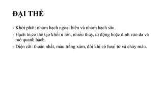 ĐẠI THỂ
- Khởi phát: nhóm hạch ngoại biên và nhóm hạch sâu.
- Hạch to,có thể tạo khối u lớn, nhiều thùy, di động hoặc dính vào da và
mô quanh hạch.
- Diện cắt: thuần nhất, màu trắng xám, đôi khi có hoại tử và chảy máu.
 
