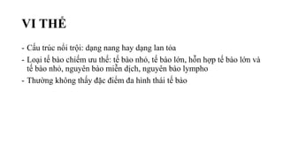 VI THỂ
- Cấu trúc nổi trội: dạng nang hay dạng lan tỏa
- Loại tế bào chiếm ưu thế: tế bào nhỏ, tế bào lớn, hỗn hợp tế bào lớn và
tế bào nhỏ, nguyên bào miễn dịch, nguyên bào lympho
- Thường không thấy đặc điểm đa hình thái tế bào
 