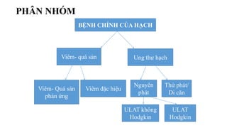 PHÂN NHÓM
BỆNH CHÍNH CỦA HẠCH
Viêm- quá sản Ung thư hạch
Viêm đặc hiệuViêm- Quá sản
phản ứng
Nguyên
phát
Thứ phát/
Di căn
ULAT
Hodgkin
ULAT không
Hodgkin
 