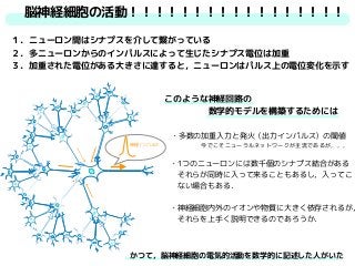 脳神経細胞の活動！！！！！！！！！！！！！！！！！
１．ニューロン間はシナプスを介して繋がっている
２．多ニューロンからのインパルスによって生じたシナプス電位は加重
３．加重された電位がある大きさに達すると，ニューロンはパルス上の電位変化を示す
神経インパルス
このような神経回路の
　　　　　数学的モデルを構築するためには
・多数の加重入力と発火（出力インパルス）の閾値
今でこそニューラルネットワークが主流であるが，，，
・1つのニューロンには数千個のシナプス結合がある
　それらが同時に入って来ることもあるし，入ってこ
　ない場合もある．
・神経細胞内外のイオンや物質に大きく依存されるが，
　それらを上手く説明できるのであろうか．
かつて，脳神経細胞の電気的活動を数学的に記述した人がいた
 