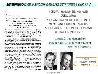 脳神経細胞の電気的な振る舞いは数学で書けるのか？
1952年，Hodgkin氏とHuxley氏
が出した論文
”A QUANTITATIVE DESCRIPTION OF
MEMBRANE CURRENT AND ITS
APPLICATION TO CONDUCTION AND
EXCITATION IN NERVE”
この論文で脳神経細胞の
方程式が詳しく紹介されています
（ググればすぐ読めます）
wikipediaより
1963年
ノーベル医学・生理学賞
を獲得する
 