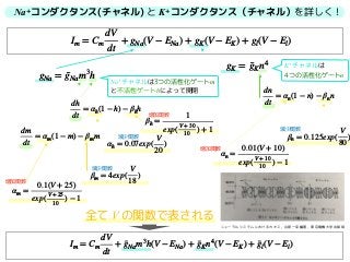 Na+コンダクタンス(チャネル) と K+コンダクタンス（チャネル）を詳しく！
全て V の関数で表される
Im = Cm
dV
dt
+ gNa(V − ENa) + gK(V − EK) + gl(V − El)
gNa = ¯gNam3
h
dm
dt
= αm(1 − m) − βmm
dh
dt
= αh(1 − h) − βhh
αm =
0.1(V + 25)
exp(
V + 25
10
) − 1
βm = 4exp(
V
18
)
αh = 0.07exp(
V
20
)
βh =
1
exp(
V + 30
10
) + 1
gK = ¯gKn4
dn
dt
= αn(1 − n) − βnn
αn =
0.01(V + 10)
exp(
V + 10
10
) − 1
βn = 0.125exp(
V
80
)
Im = Cm
dV
dt
+ ¯gNam3
h(V − ENa) + ¯gKn4
(V − EK) + ¯gl(V − El)
Na+チャネルは3つの活性化ゲートm
と不活性ゲートhによって開閉
K+チャネルは
4つの活性化ゲートn
増加関数
増加関数
増加関数
減少関数
減少関数
減少関数
ニューラルシステムにおけるカオス，合原一幸編著，東京電機大学出版局
 