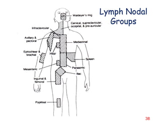 LYMPH NODAL REGIONS
Lymph Nodal
Groups
38
 