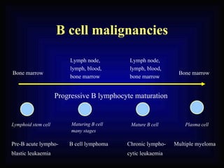 Hodgkin’S And Non Hodgkin’S Lymphoma | PPT