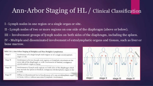 Hodgkins Non Hodgkins Lymphomas