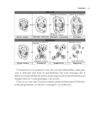 ITINÉRAIRES -.209




  L’extinction ou la mutation sont très souvent inéluctables, mais peu-
vent se dérouler sans lutte ni autoritarisme s’ils sont envisagés dès le
début et si la possibilité du terme, du passage ou de la transformation est
intégrée dans le « code génétique » du service.
  C’est en ce sens que l’on peut espérer parler positivement d’obsoles-
cence programmée, ou disons « envisagée » (ou réflexive).
 