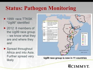 Tracking the wheat rust pathogens | PPTX