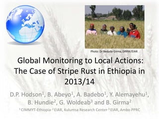 Global Monitoring to Local Actions:
The Case of Stripe Rust in Ethiopia in
2013/14
D.P. Hodson1, B. Abeyo1, A. Badebo1, Y. Alemayehu1,
B. Hundie2, G. Woldeab3 and B. Girma2
1 CIMMYT-Ethiopia, 2 EIAR, Kulumsa Research Center, 3 EIAR, Ambo PPRC
Photo: Dr Bedada Girma, DRRW/EIAR
 