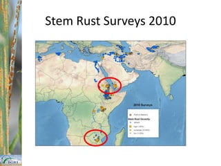 Global OverviewField survey+SamplesTrap Nurseries / plots