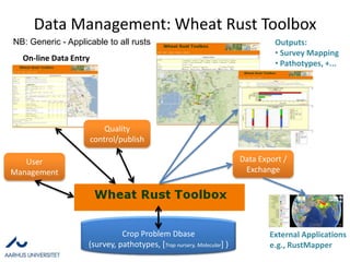 Stem Rust Surveys 2010Eritrea: 2009Eritrea: 2010 Clear change (Environment, timing, cultivars, pathogen?)
