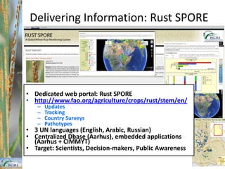  2010 first detection of Ug99 Sr24 variants