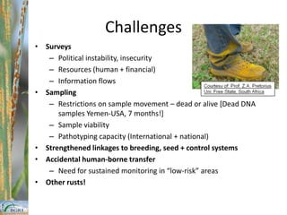 Wolday et al in prepStem Rust Surveys 2010 Clear change (Environment, timing, cultivars, pathogen?)