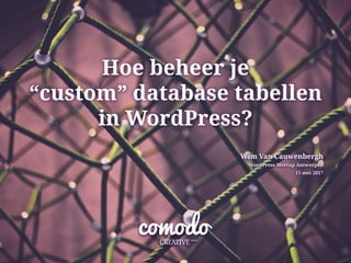Hoe beheer je
“custom” database tabellen
in ­WordPress?
Wim Van Cauwenbergh
WordPress Meetup Antwerpen
15 mei 2017
 