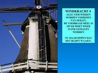 WINDKRACHT 4  ALLE VIER WIEKEN WORDEN VOORZIEN VAN ZEILEN. DE VOORRAAD MEEL IS OP ER MOET WEER FLINK GEMALEN WORDEN NU MAAR HOPEN DAT HET BLIJFT WAAIEN. 