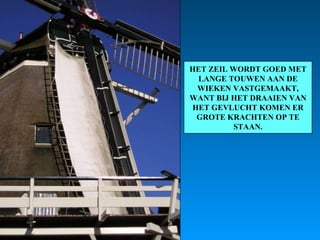 HET ZEIL WORDT GOED MET LANGE TOUWEN AAN DE WIEKEN VASTGEMAAKT, WANT BIJ HET DRAAIEN VAN HET GEVLUCHT KOMEN ER GROTE KRACHTEN OP TE STAAN. 