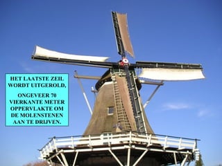 HET LAATSTE ZEIL WORDT UITGEROLD, ONGEVEER 70 VIERKANTE METER OPPERVLAKTE OM DE MOLENSTENEN AAN TE DRIJVEN. 