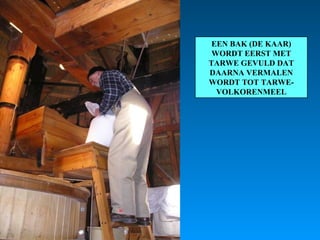 EEN BAK (DE KAAR) WORDT EERST MET TARWE GEVULD DAT DAARNA VERMALEN WORDT TOT TARWE- VOLKORENMEEL 