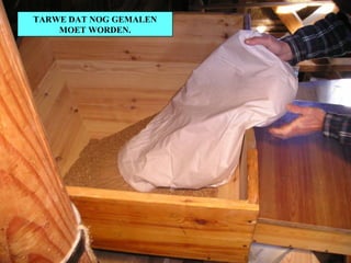 TARWE DAT NOG GEMALEN MOET WORDEN. 