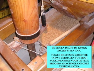 DE MOLEN DRIJFT DE 1200 KG ZWARE STEEN AAN.  TUSSEN DE STENEN WORDT DE TARWE VERMALEN TOT MOOI VOLKORENMEEL VOOR DE VELE BROODBAKMACHINES VAN ONZE VASTE KLANTEN  