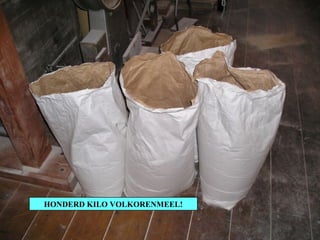 HONDERD KILO VOLKORENMEEL! 
