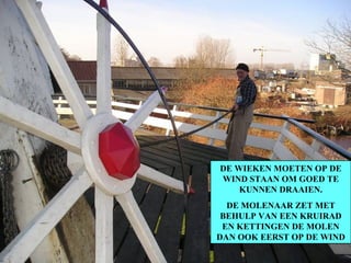 DE WIEKEN MOETEN OP DE WIND STAAN OM GOED TE KUNNEN DRAAIEN. DE MOLENAAR ZET MET BEHULP VAN EEN KRUIRAD EN KETTINGEN DE MOLEN DAN OOK EERST OP DE WIND 