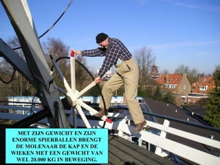 MET ZIJN GEWICHT EN ZIJN ENORME SPIERBALLEN BRENGT DE MOLENAAR DE KAP EN DE WIEKEN MET EEN GEWICHT VAN WEL 20.000 KG IN BEWEGING. 