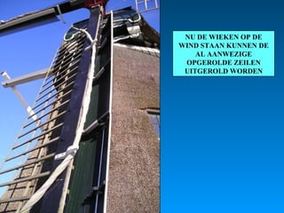 NU DE WIEKEN OP DE WIND STAAN KUNNEN DE AL AANWEZIGE OPGEROLDE ZEILEN UITGEROLD WORDEN 