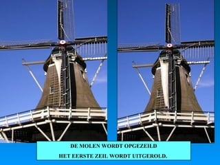 DE MOLEN WORDT OPGEZEILD HET EERSTE ZEIL WORDT UITGEROLD.  