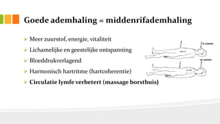 Goede ademhaling = middenrifademhaling
 Meer zuurstof, energie, vitaliteit
 Lichamelijke en geestelijke ontspanning
 Bloeddrukverlagend
 Harmonisch hartritme (hartcoherentie)
 Circulatie lymfe verbetert (massage borstbuis)
 