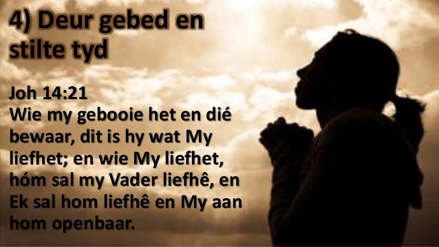 Hoe kan ek forex leer