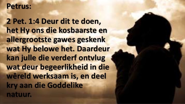 Hoe kan ek forex leer