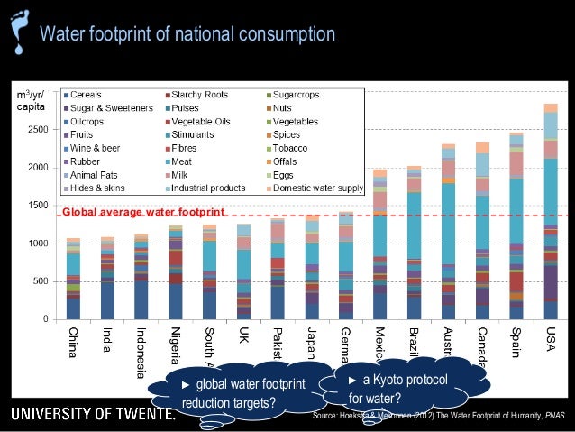 global average water footprint