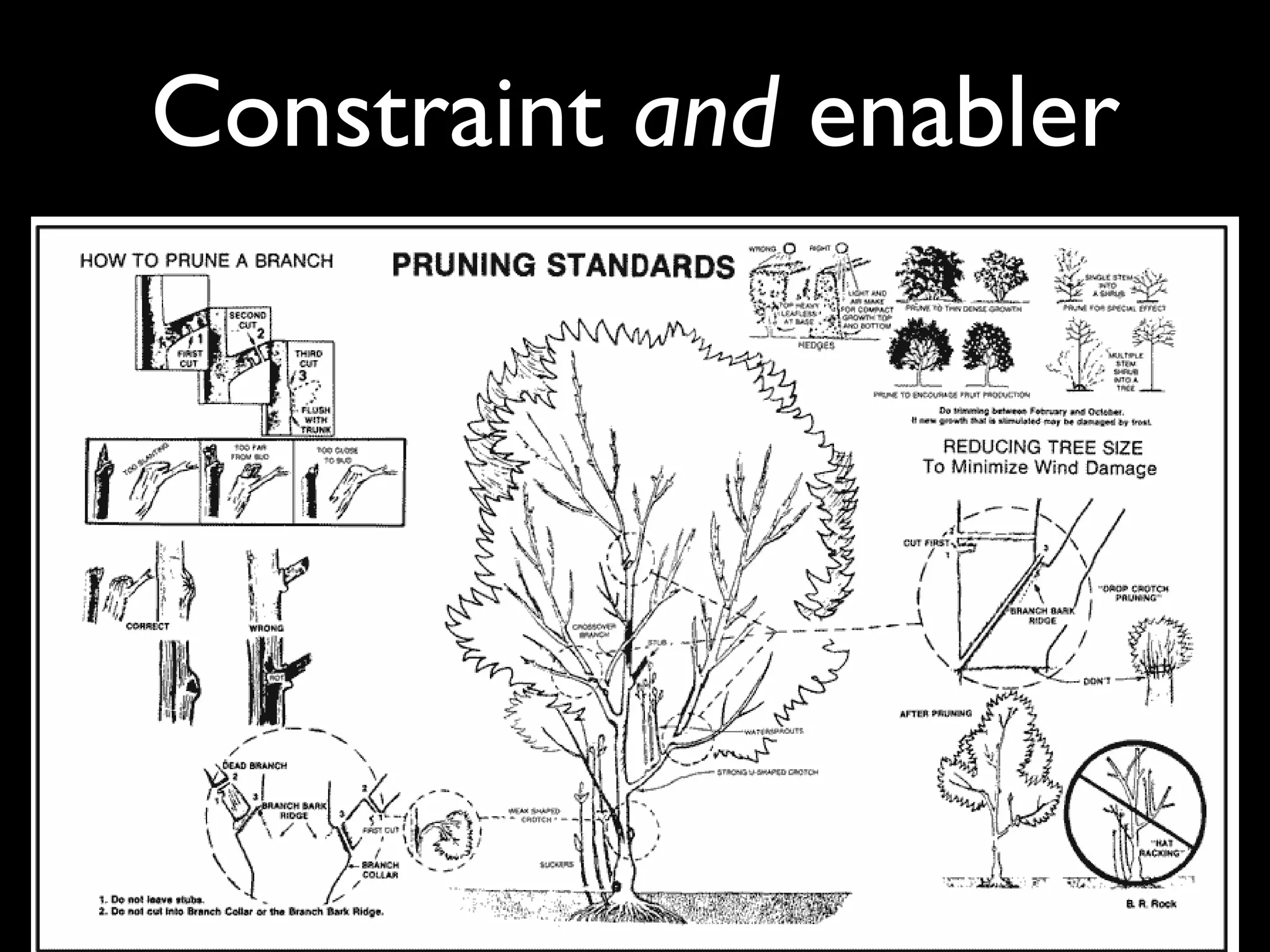 Constraint and enabler
 