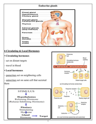 1
Endocrine glands
♦ Circulating & Local Hormones
• Circulating hormones
– act on distant targets
– travel in blood
• Local hormones
– paracrines act on neighboring cells
– autocrines act on same cell that secreted
them
 