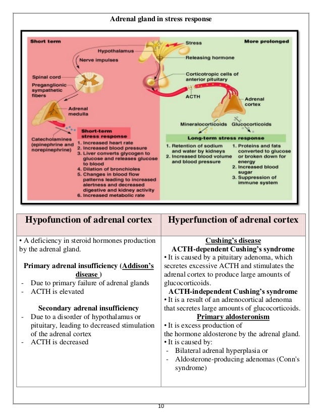 👍 Hypofunction of endocrine glands. Hypofunction. 20190120