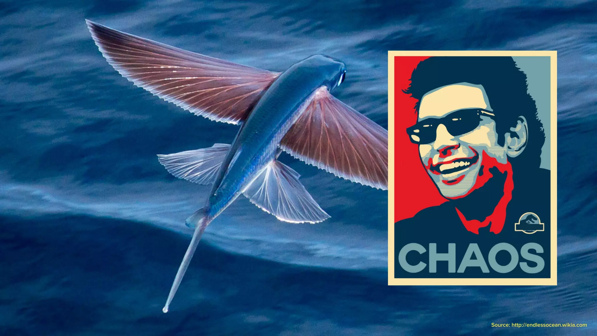 Source: http://endlessocean.wikia.com
 