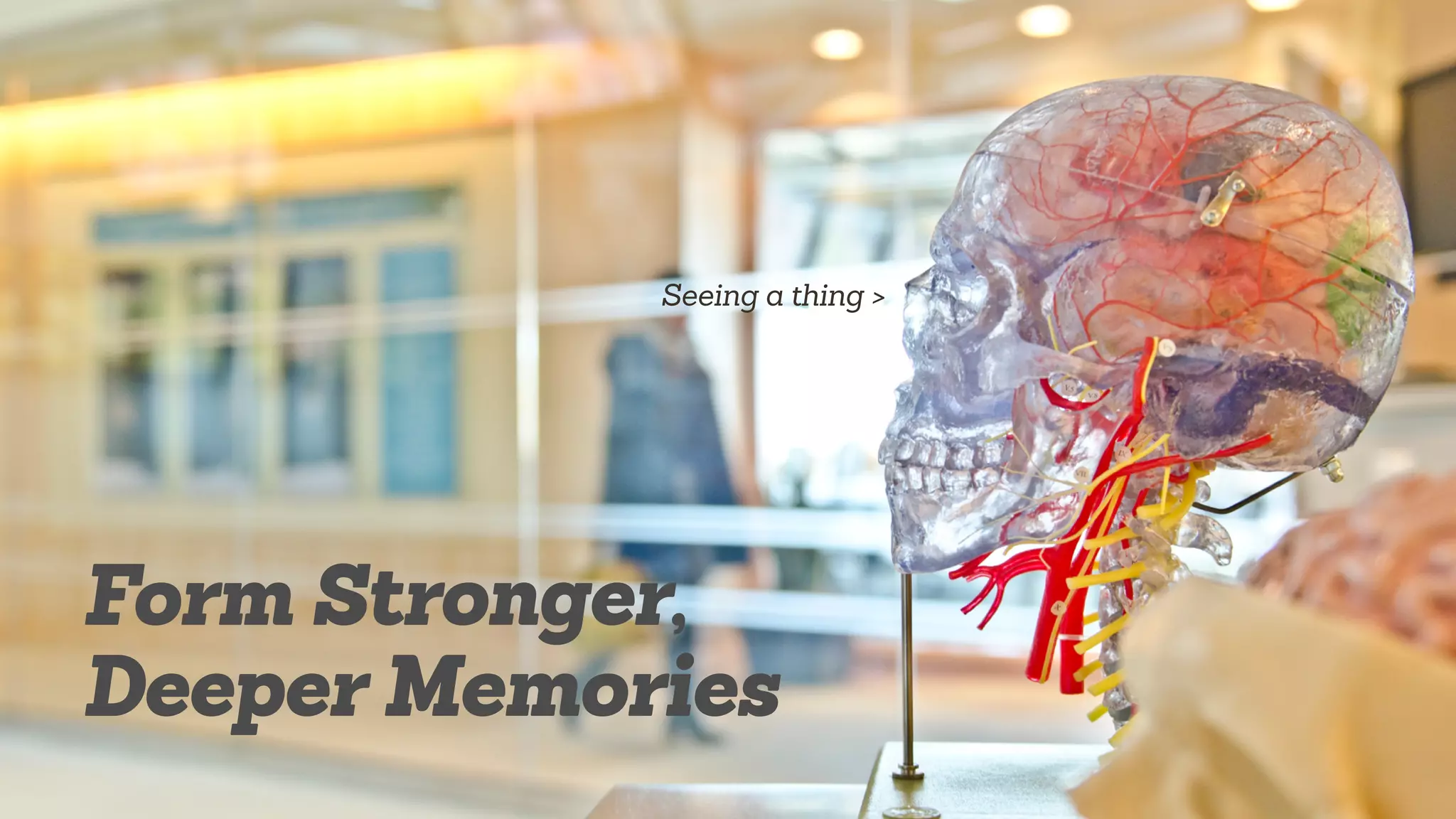 Seeing a thing >
Form Stronger,
Deeper Memories
 