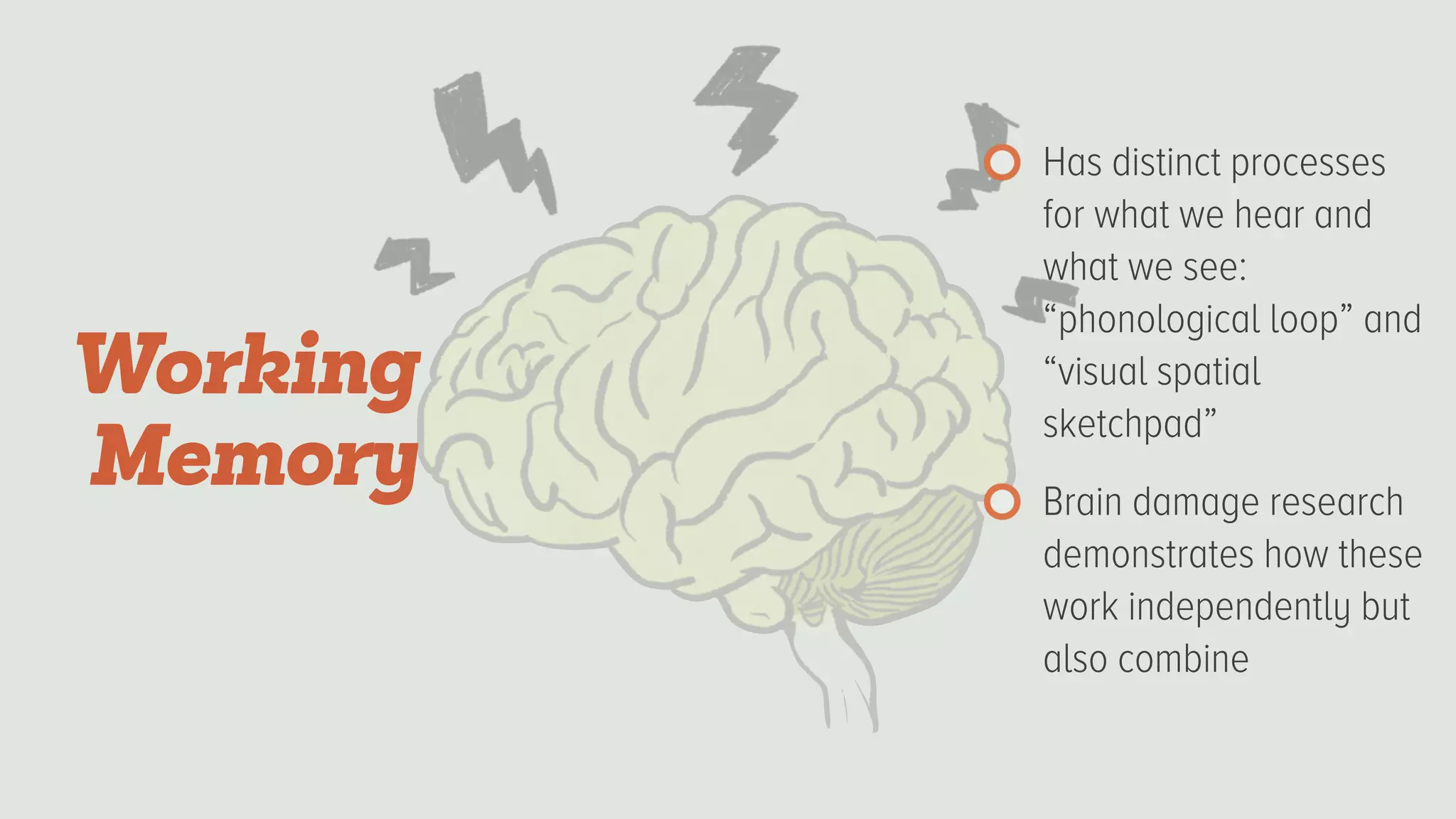 Has distinct processes
for what we hear and
what we see:
“phonological loop” and
“visual spatial
sketchpad”
Brain damage research
demonstrates how these
work independently but
also combine
Working
Memory
 